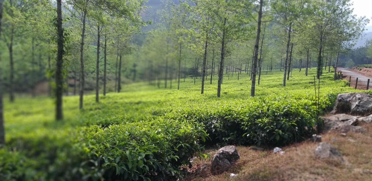 Spice Cottage Homestay Thekkady Exterior photo